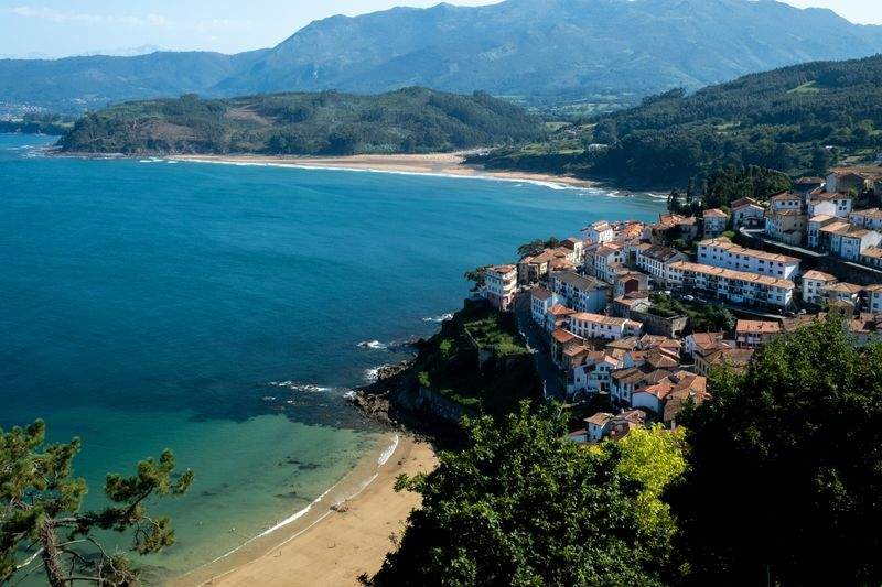 Avícola Sierra del Sur