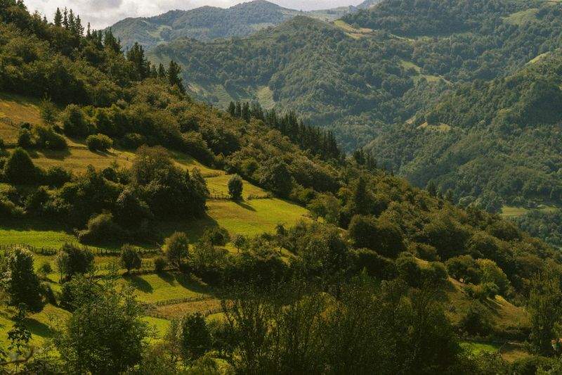 Avícola Sierra del Sur 11