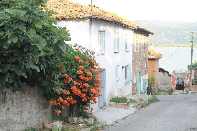 Avícola Sierra del Sur 7