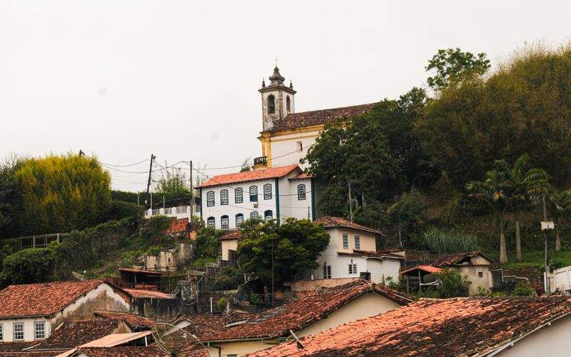 Avícola Sierra del Sur 9