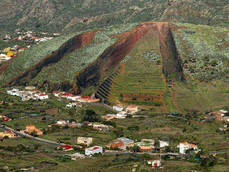 Avícola Sierra del Sur
